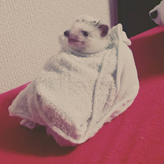 大春あいち