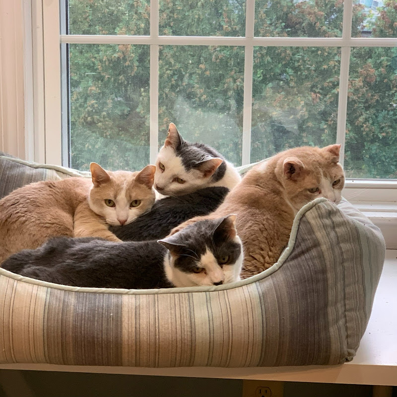 MetroWest Humane Society