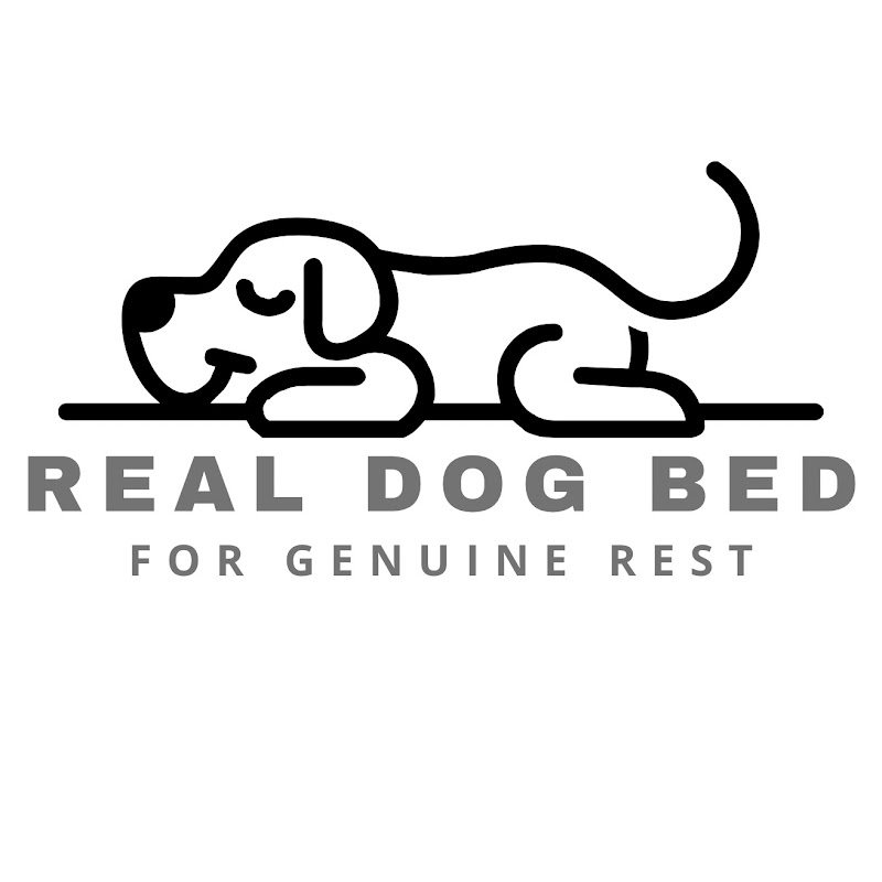 Real Dog Bed