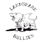 Landshark Bullies
