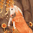 @MysticMeadows148 Avatar