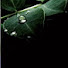 hysPixpHIg8-channel-avatar-Quiet Screen Studios