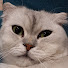 Channel Image