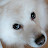 @user-berry1570
