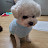 @숑숑-t3h