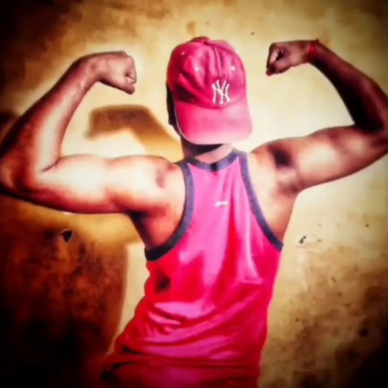 action fitness 11 