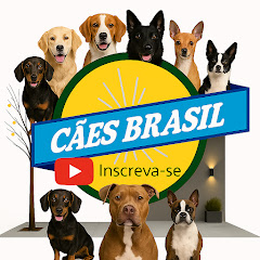 Channel thumbnail for Cães Brasil
