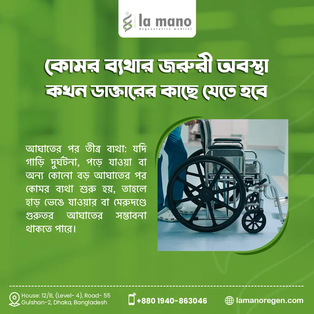 বয়স্কদের কোমর ব্যথা: দ্রুত আরাম পাওয়ার সহজ উপায়গুলি