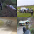 wUJ6ZBppdV4-channel-avatar-Rallye FCTN
