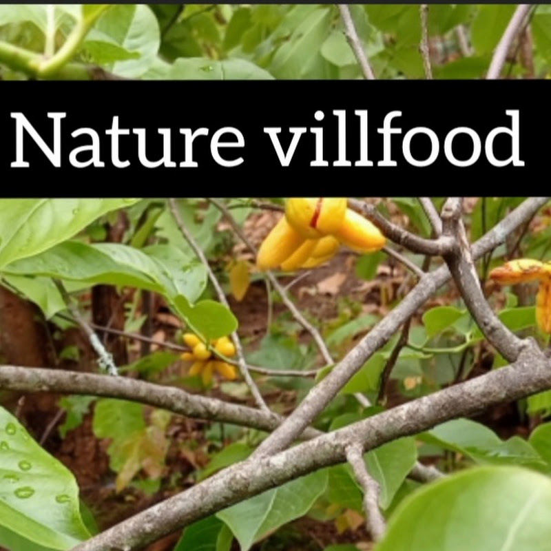Nature Villfood 