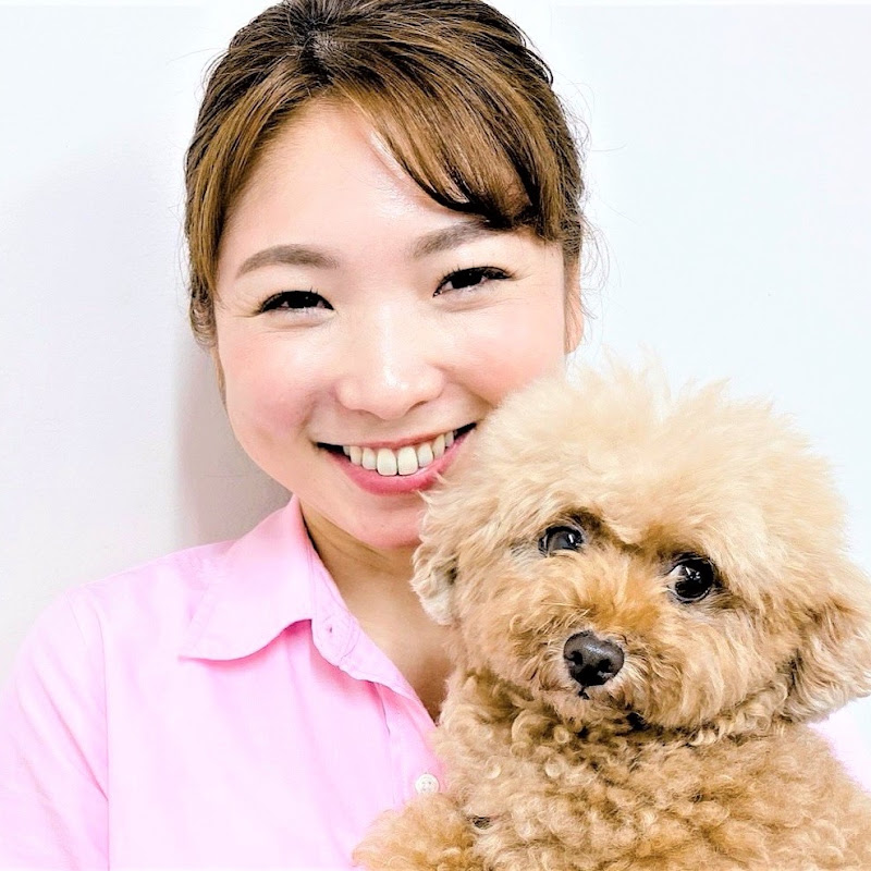 犬のしつけ エマチャンネル YouTubeチャンネル画像
