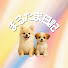 AgqpQwWFnqs-channel-avatar-まるたま日記🐾犬と一緒