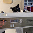 c5Ny6QBtg70-channel-avatar-Sewing With Nightmare