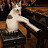 @GatoOnTheKeys's avatar