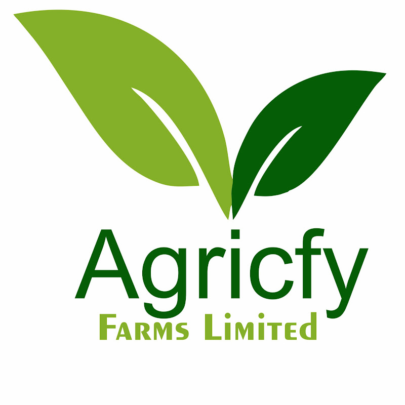 Agricfy Farms Limited
