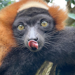 San Francisco Zoological Society