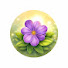 MLG80oaAe-E-channel-avatar-IAMZE MAGIC