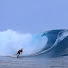 kxnP8rKRpoA-channel-avatar-Rogue Wave Surfboard Repair