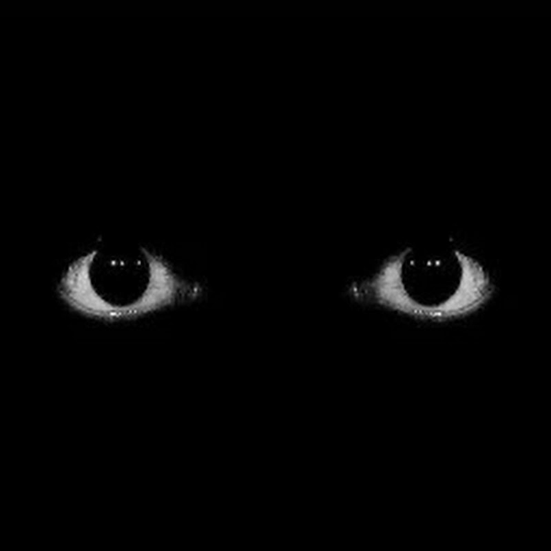 I see you