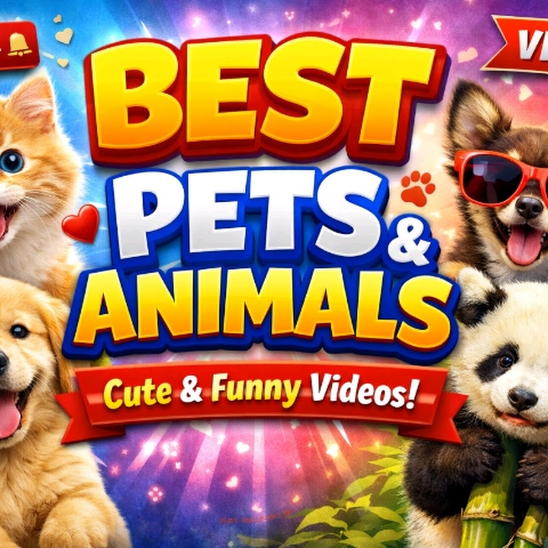 Pets Animals profile avatar