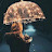 @fatmashalaby9147