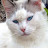 @مرحباً-د4ف5ج