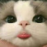 Suf_ncLwss0-channel-avatar-meow_zone