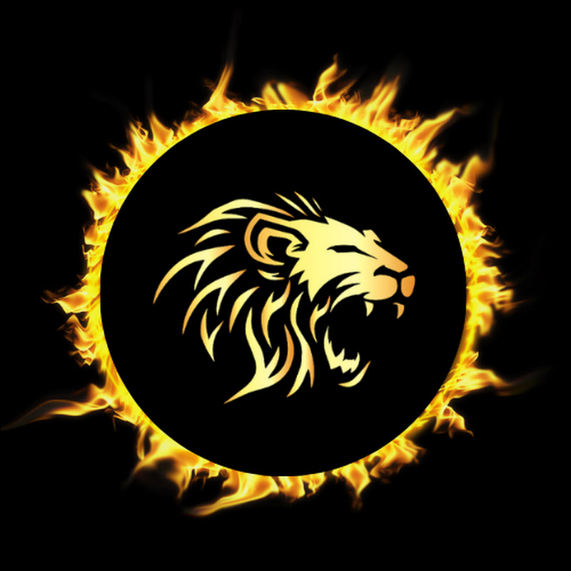 GJ LION TRADER