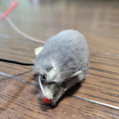 猫とネズミのおもちゃアイコン画像