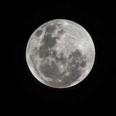 离中兄アイコン画像