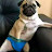 @Degustador_De_Casadas_666's avatar