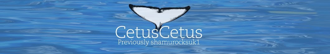 CetusCetus यूट्यूब चैनल अवतार