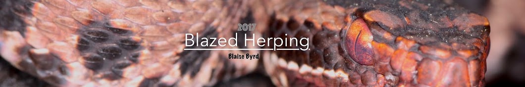 Blazed Herping رمز قناة اليوتيوب