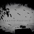 OwyDaDPxJvg-channel-avatar-beyondthestars