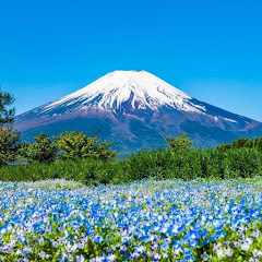 感動パレット #1