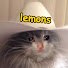 Eysj-e8uzsQ-channel-avatar-lemons