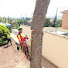 f2Z0Qc1CRzA-channel-avatar-De Arbol en Arbol 🌴🌲🌳🌴🌲🌳