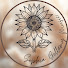 xnokLn8vGTw-channel-avatar-Sophia Bellamy Music