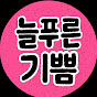 늘푸른 기쁨 logo
