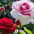 @بنتوطنها-ت3ق