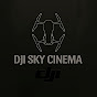 Dji-SkyCinema