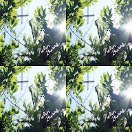 thumbnail img1x1