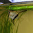 @AQUA-DASHY Avatar