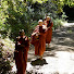 DP7_amEz37Q-channel-avatar-Dhammadharini Monastery