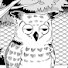 VSDHzVfH_wY-channel-avatar-owlinthewoods