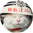 8t9-42bCxWo-channel-avatar-猫叔漫游