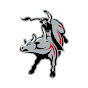 Pbr_bulls_videos logo