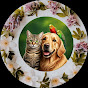 PetQuest Stories logo