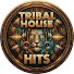 VDBEmMucS2M-channel-avatar-Tribal House Hits
