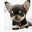@samtsam-sm6sy